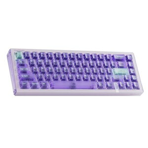 MelGeek REAL67 ���C�X�C�b�`�Q�[�~���O�L�[�{�[�h 65% �L�� ���s�b�h�g���K�[ �z�b�g�X���b�v RGB US�z�� (�����p�[�v��)