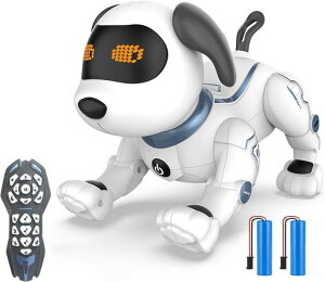 HBUDS���{�b�g���q����������l�C�^�b�`�R���g���[����������(�p��̂�)�X�^���g�h�b�ORobot�����{�b�g�v���O�����\����/�_���X/�\���O/�Â���/�{��USB-C�[�d�������o�b�e���[�d�q�y�b�g�c