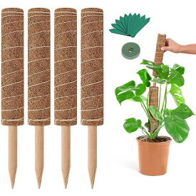 4本セット 園芸 モンステラ ポトス 固定支柱 観葉植物 支柱 棒 つる性植物 誘引用 ガーデン 支え棒 植物サポート ガーデニング用品 フェイクモススティック 登り棒 盆栽補助 屋内屋外 ガーデンポール 鉢植え用 支え支柱 インテリアグリーン固定 ロープ付き 園芸アクセサリー