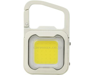 [d@҂@MINI@LIGHT / WRC-20 [ijTV]