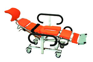 �V�����[�L�����[�@AL-4 / No.5600�@�u�r�O�v