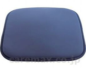 �s���A���C�t�G�A�[�N�b�V���� / TC100�@[��������]