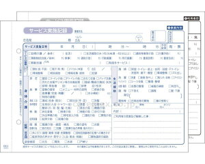 HK-1@K`[iT[rX{L^j / 201070@50g×10 [KSRs[]