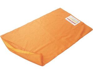 yz̈ʕϊ@gC[W[XChV[g/ TE-100@IW