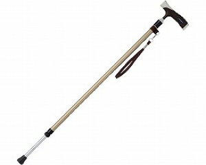 \tgObvXLkA~/ MRA-06101