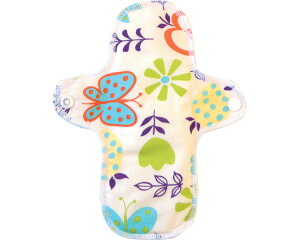 K-Padyփpbh@15cc@I[KjbN/ 0262@傤 [  ߗ ]