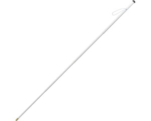 yz / WH-2@܂肽 [ PCEzXsA  ]