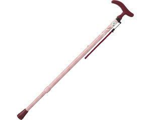 ANeBuO[X@LkS / WB3750@[ tWz[  ]