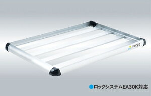 PIAA TERZO [tbN ChO EA308