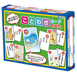 ARTEC Ƃ킴J[h邽 ATC2567