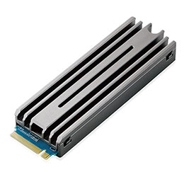 ☆エレコム M.2 PCIe接続内蔵SSD ESD-IPS2000G