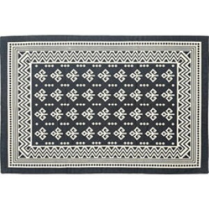 J O Rbgfނ̃VvȖkfUC}bg TTR-163B