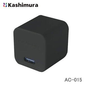 JV ACvO RpNgAC/USB[d Type-C|[g ubN AC-015