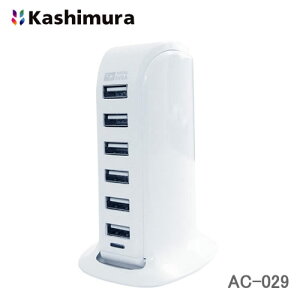 JV USB[d AC-6USB-8A WH AC-029 USB-A̋@6䓯ɏ[d\