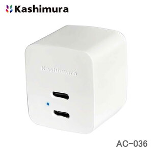 JV USB Type-C 2|[gڂAC[d AC Type-C 2P 12W WH AC-036