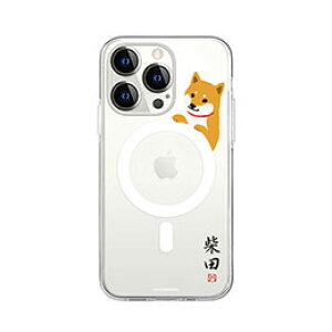 ��abbi FRIENDS �������C�Z���X�i ���΂�����MagSafe�Ή��N���A�P�[�X for iPhone 14 Pro Max ��̌����� �w�ʃJ�o�[�^ ABF24256i14PM