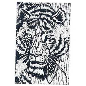 y10Zbgz ARTEC pŖ C 4{(300x200x10) ATC20312X10