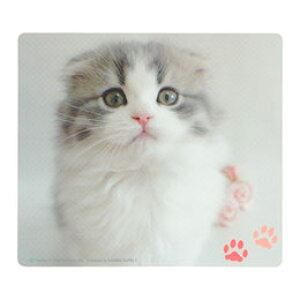 TTvC }EXpbh(XReBbVtH[h) MPD-215E