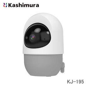 JV UX}[gJ KJ-195 xv/R GAR/er\