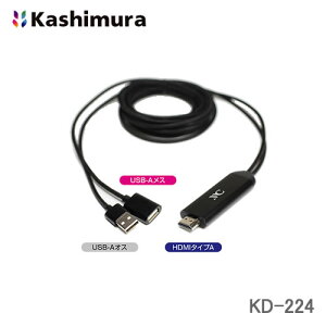 JV HDMIϊP[u iPhonep 3m KD-224