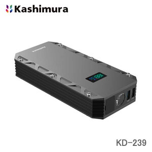JV WvX^[^[@12000mAh@fBXvCt KD-239