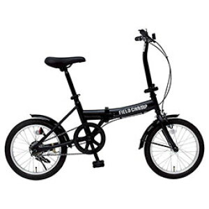 FIELD CHAMP 16C`܏ݎ] 22543403