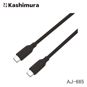 JV USB[dP[u 1m Type-CType-C ubN AJ-665 IFFؕi