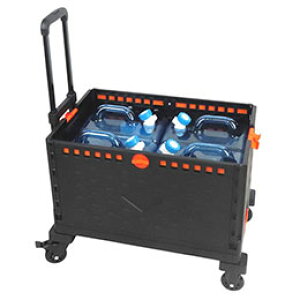 xm EH[^[^NJ[g ܂肽݃Rei+^N4Zbg ύډ׏d100kg Nłʂ̐yɉ^ׂ F21646