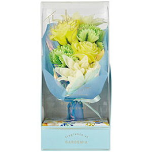 fCYCu[ oXt[u[P K[fjA oXt[(42g)×1 C6022596