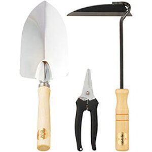 @ ƒ؉Lbg3P K60312735