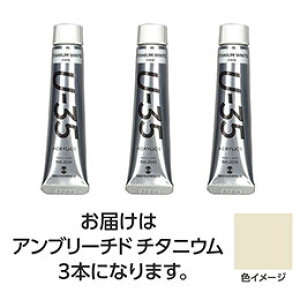 ���^�[�i�[�F�� U35 �A���u���[�`�h�`�^�j�E��20ml 3�� TURNER108682