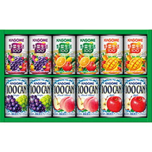 JS ₩t@~[Mtg ؐ100(IWiEx[/T_)E100CAN(AbvEs[`uhEO[v) C6173585