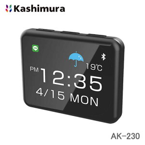 �J�V���� AK-230 �X�}�[�g�N���b�N