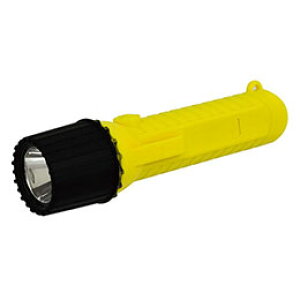 H LEDhd 10x CG[ NICHIDO-SF-10