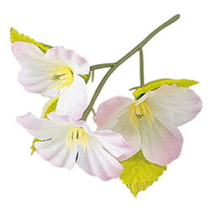 }R[ p Ɩp v`t[  (200) yamaco63851