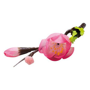 }R[ p Ɩp lG̉Ԃ  (100) yamaco64330