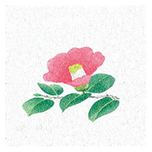 }R[ p Ɩp ʃ~lGʃV[g  (200) yamaco66373