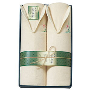 B̍ Ȗѕz2P y140×210cm×2z 񌳂ۂݍރfUCŃOTCY WE-20002