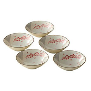  5g sNF̍̉Ԃтŏt K60106824