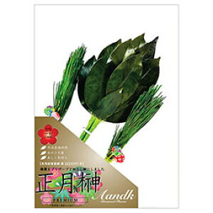 A&K t SSTCY (2{g) _Iɏɏ邱Ƃłj͋̕C SKK-013SS