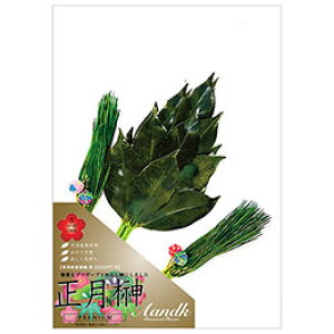 A&K t STCY (2{g) _Iɏɏ邱Ƃłj͋̕C SKK-014S