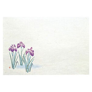 }R[ p Ɩp 3_a΂܂ lG Ҋ (50) yamaco64471