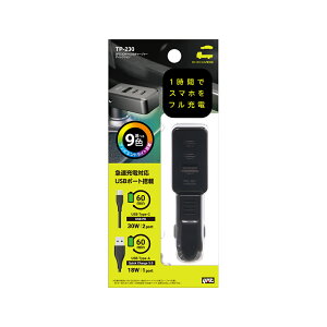 ƉbNԗpDC[d 2PD 30W{USB`[W[ fBNV TP-230