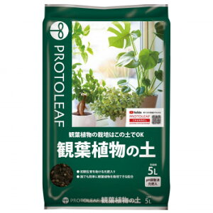 ベスト50 観葉 植物 土 おすすめ すべての美しい花の画像 ベスト50 観葉 植物 土 おすすめ すべての美しい花の画像