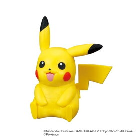 楽天市場 カー用品 ポケモンの通販