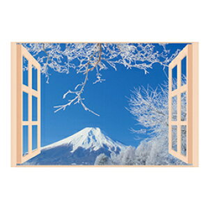 v C̃|X^[ lG xm 8095654