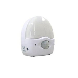 YAZAWA@3LED~jԊOZT[Cg3@SE40