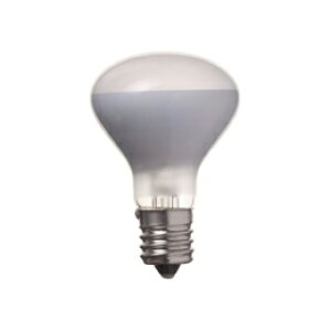 YAZAWA@~jt R45 E17 40W 2pbN@R4517402P