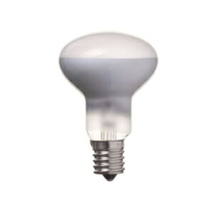 ��YAZAWA�@�~�j���t�� R50 E17 50W 2�p�b�N�@RF5017502P