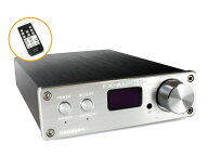 送料無料 FX-AUDIO- D802J++ [シルバー] デジタル3系統24bit/192kHz対応+アナログ1系統入力 STA326搭載 …